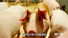 07 印度药不是中国的榜样