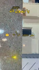 یا رسول اللہ ﷺ! عرض ہے کہ اپنے اس گناہگار امتی کو قیامت کے دن بھول نہ جائیے گا۔ ی