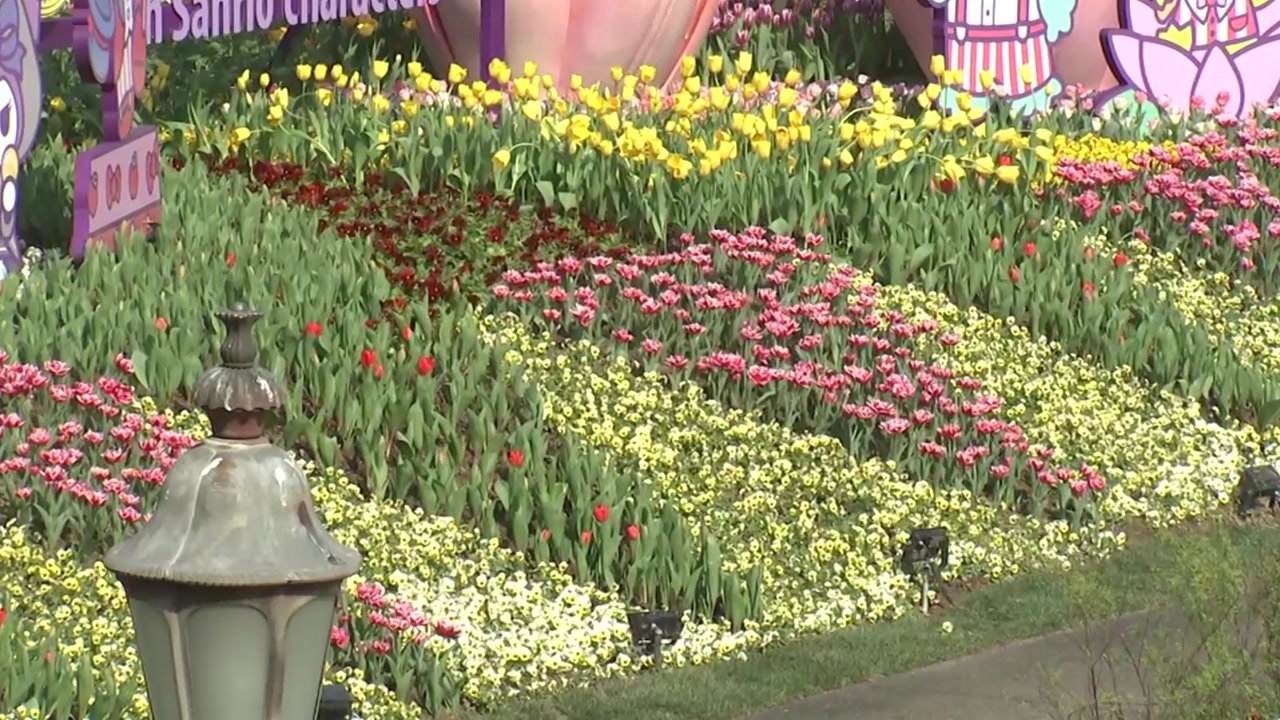 봄이 왔어요! 도심 속 화사한 튤립 정원, 시민 북적 / YTN