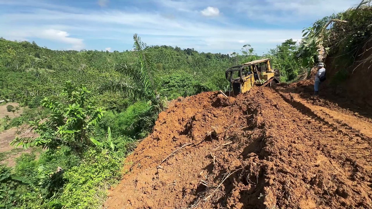 D6R XL Bulldozer Accurately Forms Terraces in Oil Palm Plantations