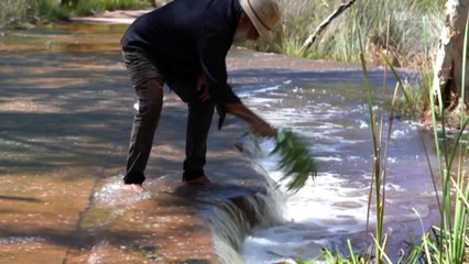 Pilbara traditional owners push back ono Rio Tinto, state government water extraction from sacred sites