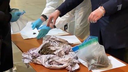 Без срока давности