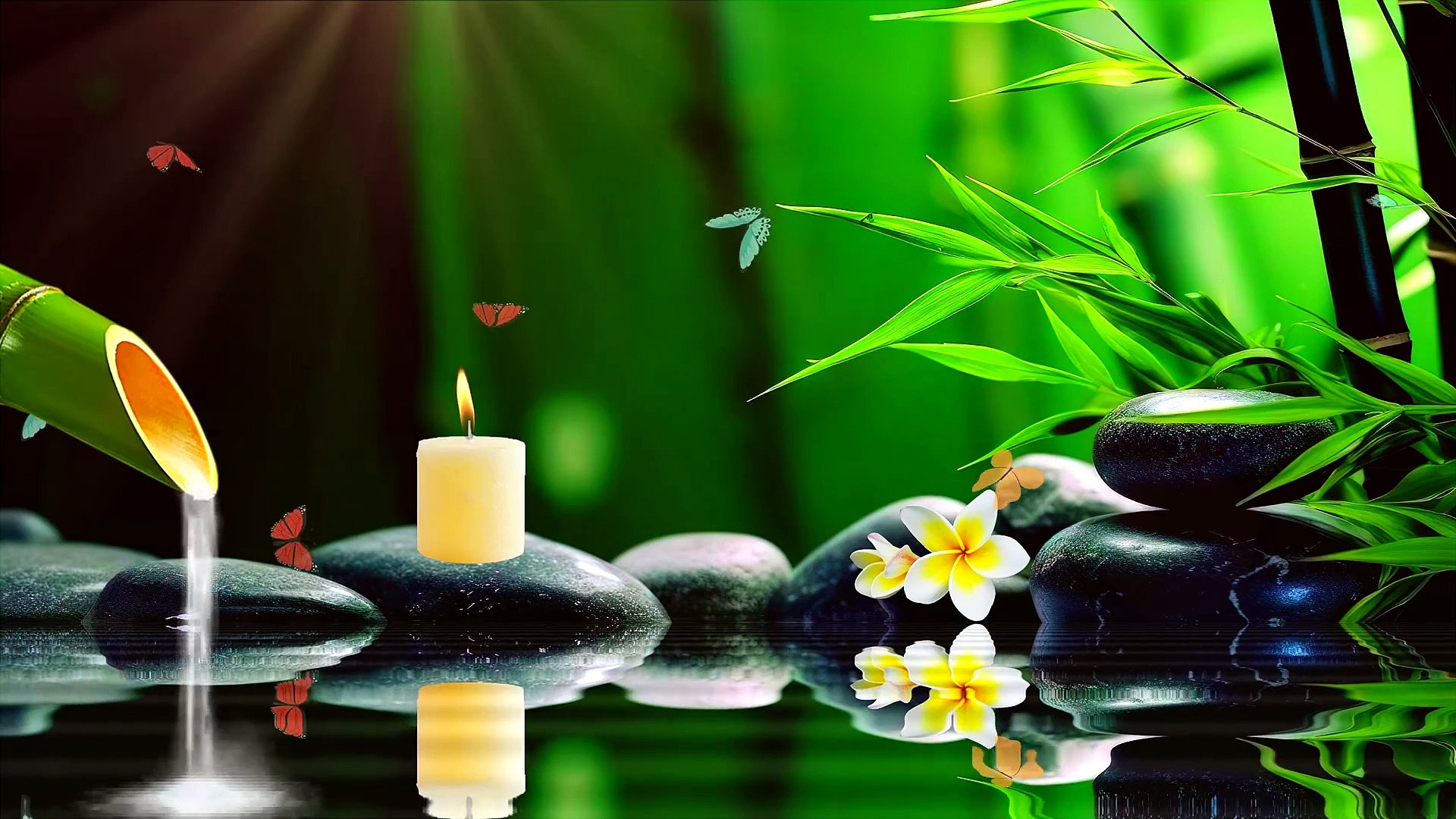Meditation Music,  Relaxing Music , Stress Relief Music, Sleep Music,