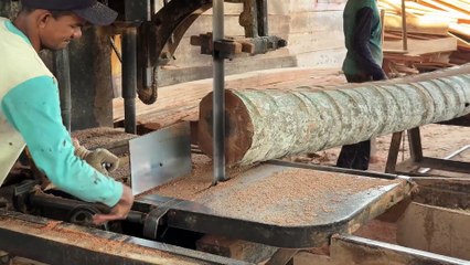 Optimizing the Yield of a 5x7 Coconut Tree Saw with a Sawmill Machine