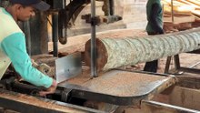 Optimizing the Yield of a 5x7 Coconut Tree Saw with a Sawmill Machine