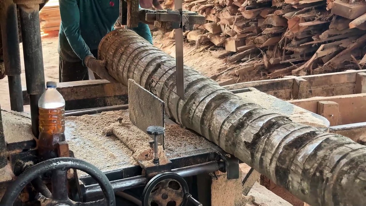 Sawmill Machine Cuts 2x20 Finished Coconut Trees Easily
