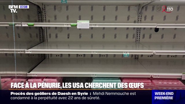 Confrontés à une pénurie d'œufs, les États-Unis cherchent à se fournir à l'étranger