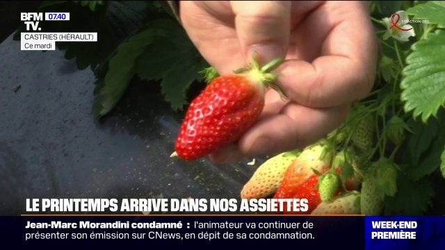 Fraises, asperges...Le printemps arrive doucement dans nos assiettes