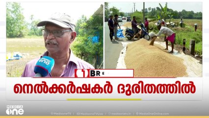 കോട്ടയത്ത് വേനൽ മഴയിൽ ദുരിതത്തിലായി നെൽകർഷകർ; വിളവെടുത്ത നെല്ല് നശിക്കുന്നു