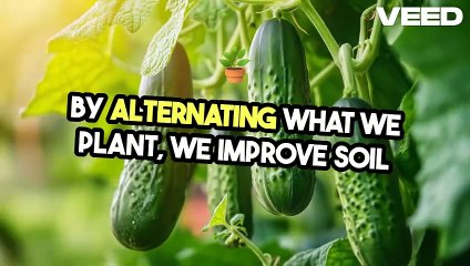 Benedict T. Palen, Jr. – Fifth Generation Farmer and Agricultural Consultant