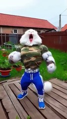 The_Kitten_s_Mess__🐱💧_Digging_Trouble_and_a_Soaked_Clean-Up_🌊🛁#cattales_#catfunny_#animation#cat(360p)