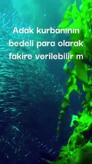 Adak kurbanının bedeli para olarak fakire verilebilir mi