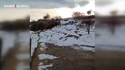 Sürü halinde geziyorlar: Avlama cezası 650 bin lira