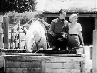 ¿Quién dominará el salvaje oeste Pelicula de Lejano Oeste En Espanol Latino 2025