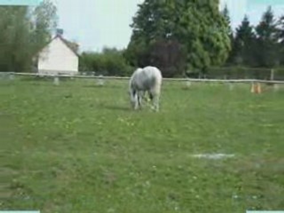 vidéo d'itaque