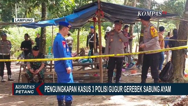 Fakta Setoran Judi Sabung Ayam di Balik Penembakan 3 Polisi Gugur di Lampung