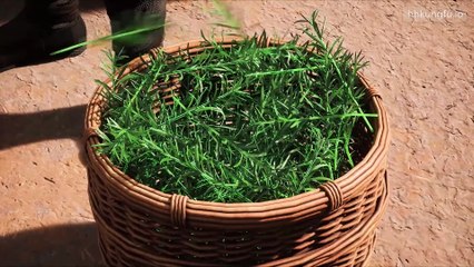 Thăng Cấp Mạnh Nhất Tập 10