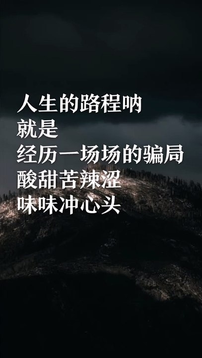 人生的路程呐，就是，经历一场场的骗局。酸甜苦辣涩，味味冲心头。The journey of life is,to go through one scam after another.The ups and downs of life are all overwhelming.