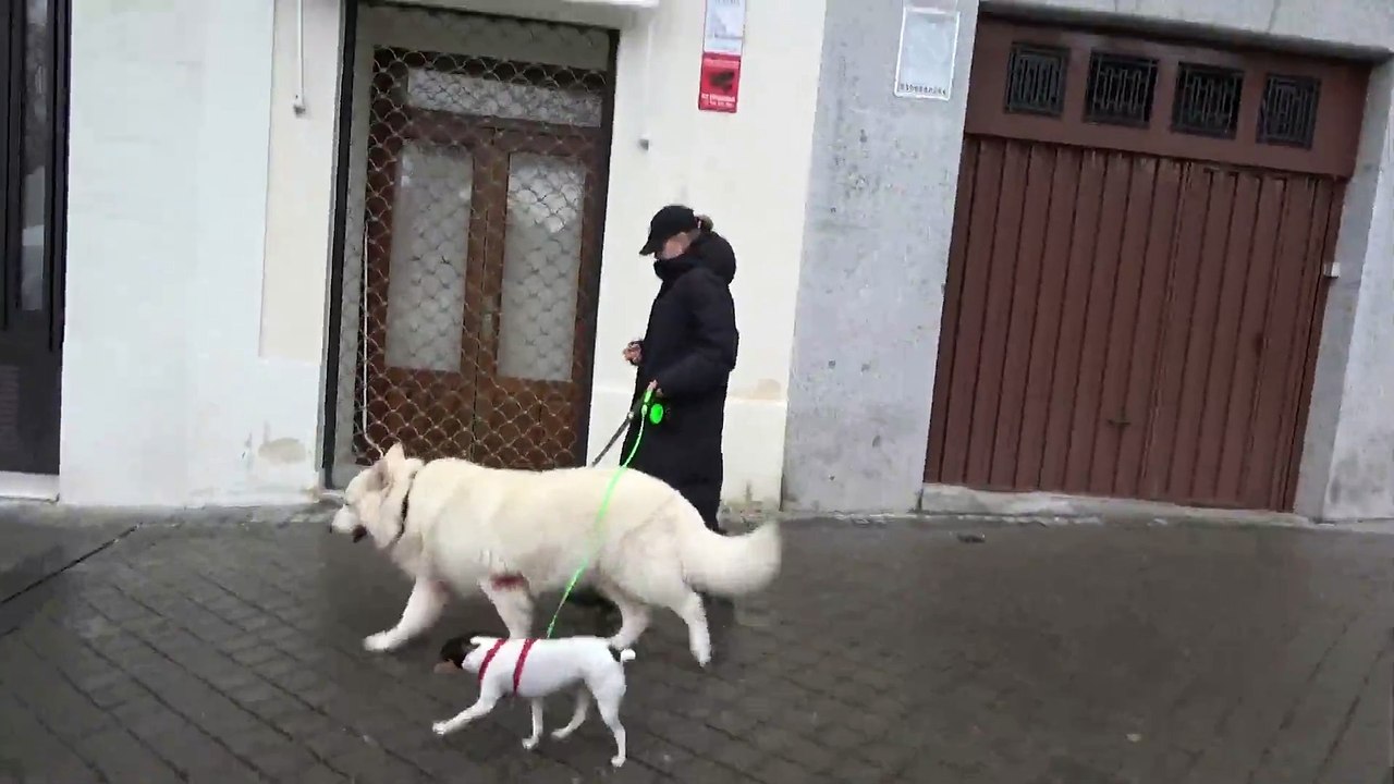 La insólita reacción de Genoveva Casanova al ser preguntada por la boda de su ex, Cayetano Martínez de Irujo, y Bárbara Mirjan