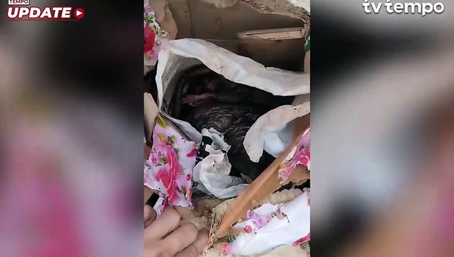 Tempo Kembali Diteror, Setelah Kepala Babi Kali ini Tikus yang Dipenggal