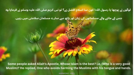 The Beacon of Mercy, Wisdom, and Guidance for Humanity