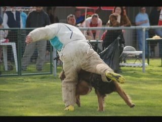 Virus au 2eme sélectif 2008