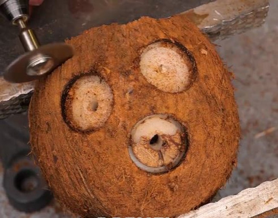 From Waste to Wow! Stunning Coconut Shell Craft Ideas!