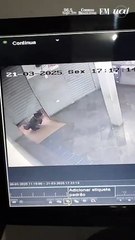 Vídeo: tentativa de roubo em lotérica