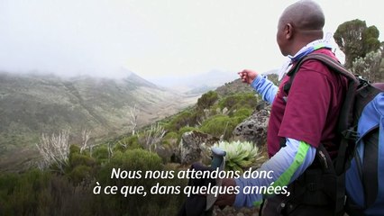 Sur les sommets du Mont Kenya, la fin des glaciers