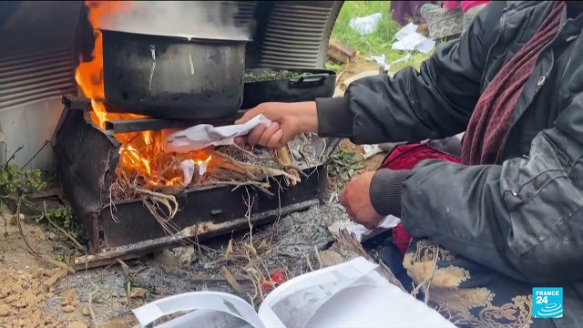Gazans resort to burning books for fuel amid spiralling humanitarian crisis