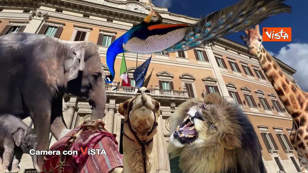L'Europa che vorrei, su Camera con Vista. Il programma di Alexander Jakhnagiev in onda su La7
