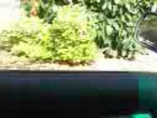 vieux au mc drive en fauteuil roulant electrique