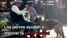 ¿Cómo ayudan los perros a personas con problemas de salud mental?
