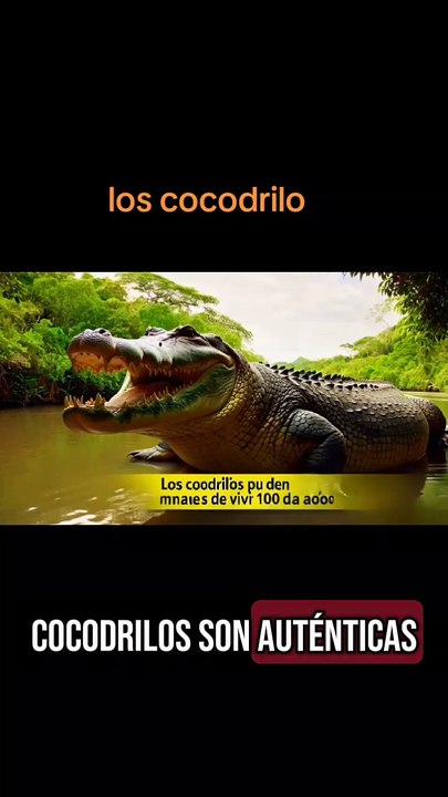#CrocodilePower