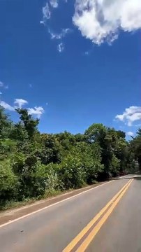 Aeronave da PMDF, em força-tarefa com as PMs de MG e GO, localiza acidentado em mata às margens da estrada para Unaí