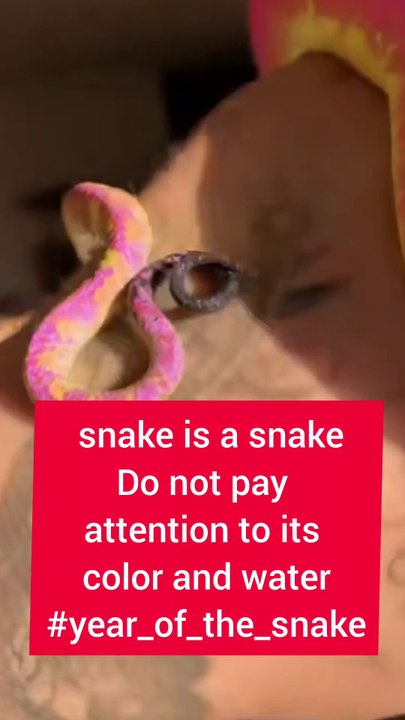 Saleemoffical presentation- sanke is snake only #snake