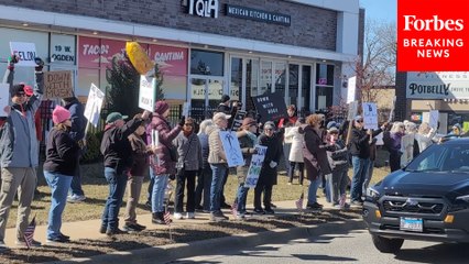 Pro- And Anti-DOGE Protesters Demonstrate Outside Tesla Dealership In Illinois
