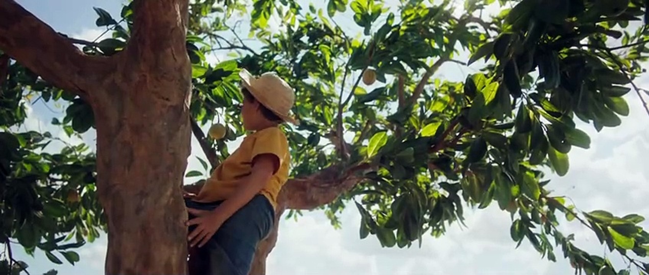 Chico Bento e a Goiabeira Maravilhosa 2024 Brazilian animated adventure film directed by César Cabra