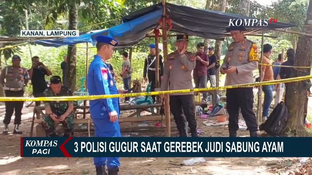 [FULL] Kapolda Lampung Minta Bukti Dugaan Setoran Judi Sabung Ayam di Kasus Penembakan 3 Polisi