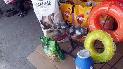 21 March 2025 Daily life style Vlog