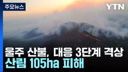 울산 울주 산불, 대응 3단계 격상...산림 105㏊ 피해 / YTN