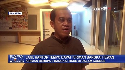 Fakta Kiriman Barang ke Redaksi Tempo: Diduga Upaya Teror, Dari Kepala Babi-Bangkai Tikus