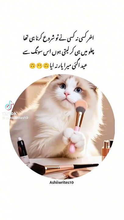Fun,, Entertainment And Comedy