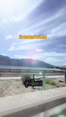 2025 has to be a year of winners #BR3 #inspiration #discipline #motivation #motivationalvideo