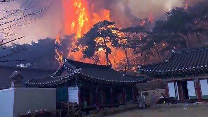 Incêndios na Coreia do Sul
