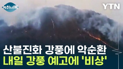 "내일 오늘보다 바람 더 거세진다"...강풍에 악순환 계속 [Y녹취록] / YTN