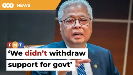 Ismail Sabri denies claims he, 13 Umno MPs withdrew support for govt