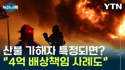 "4억 이상 물었던 사례도 있어"...가해자 특정되면 민사 책임 가능 [Y녹취록] / YTN
