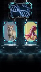 Cat X Octopus AI Combo by Mr. SHEIZU