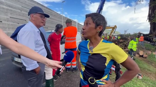 Opération spectaculaire de sauvetage du banian de Saint-Denis